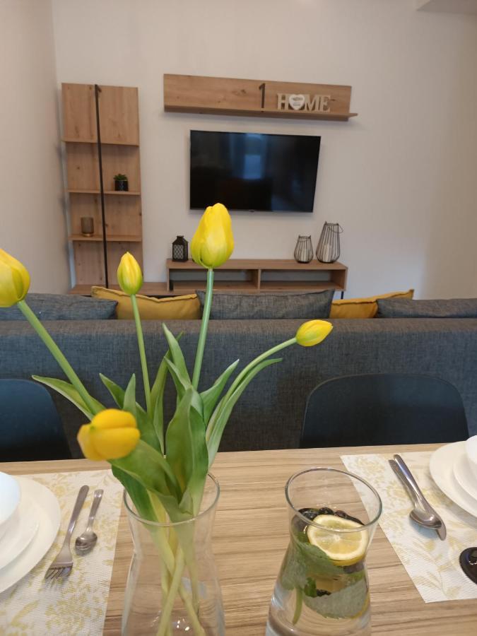 Ottimo Apartamenty Dolina ビィドゴシュチュ エクステリア 写真